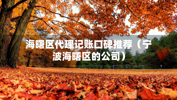 海曙區(qū)代理記賬口碑推薦（寧波海曙區(qū)的公司）