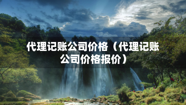 代理記賬公司價格（代理記賬公司價格報價）