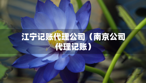 江寧記賬代理公司（南京公司代理記賬）