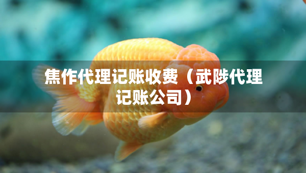 焦作代理記賬收費（武陟代理記賬公司）