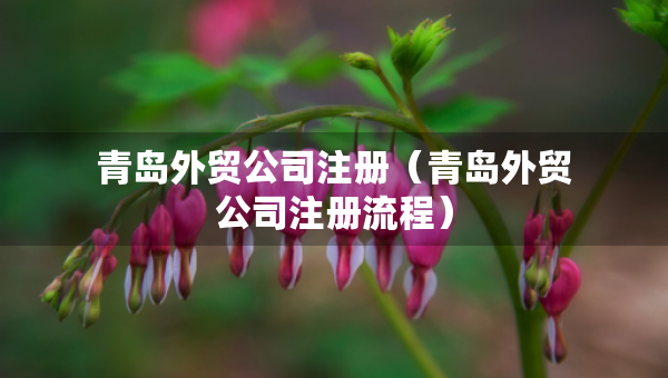 青島外貿(mào)公司注冊(cè)（青島外貿(mào)公司注冊(cè)流程）
