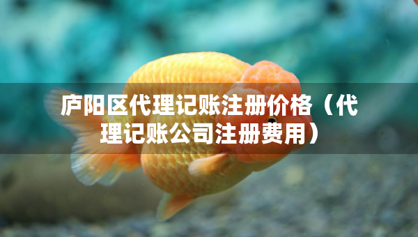 廬陽區(qū)代理記賬注冊價格（代理記賬公司注冊費用）