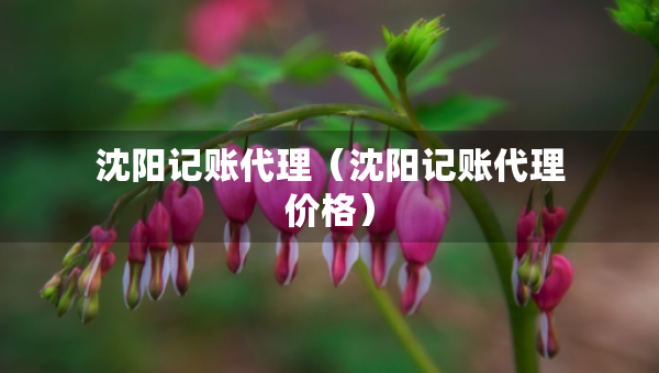 沈陽記賬代理（沈陽記賬代理價(jià)格）