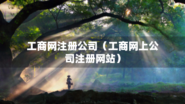 工商網(wǎng)注冊(cè)公司（工商網(wǎng)上公司注冊(cè)網(wǎng)站）