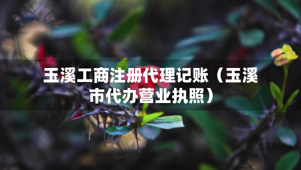 玉溪工商注冊代理記賬（玉溪市代辦營業(yè)執(zhí)照）