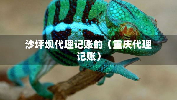 沙坪壩代理記賬的（重慶代理記賬）