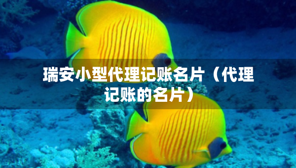 瑞安小型代理記賬名片（代理記賬的名片）