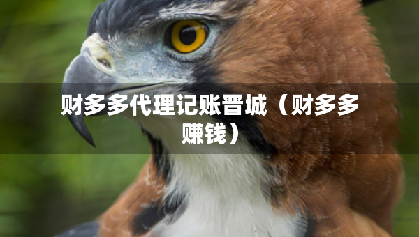 財(cái)多多代理記賬晉城（財(cái)多多賺錢(qián)）