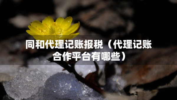 同和代理記賬報(bào)稅（代理記賬合作平臺(tái)有哪些）