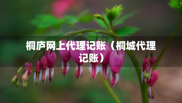 桐廬網(wǎng)上代理記賬（桐城代理記賬）