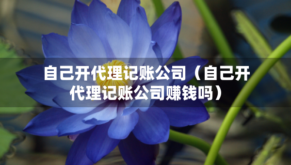 自己開代理記賬公司（自己開代理記賬公司賺錢嗎）