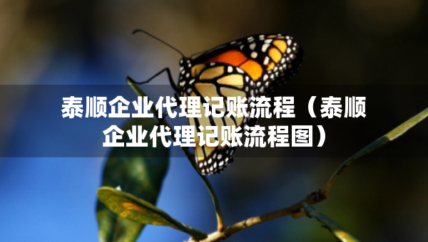 泰順企業(yè)代理記賬流程（泰順企業(yè)代理記賬流程圖）
