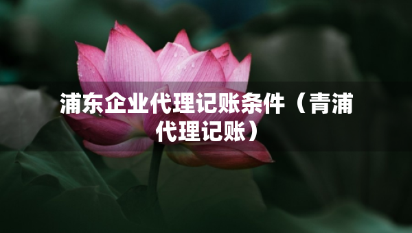 浦東企業(yè)代理記賬條件（青浦代理記賬）