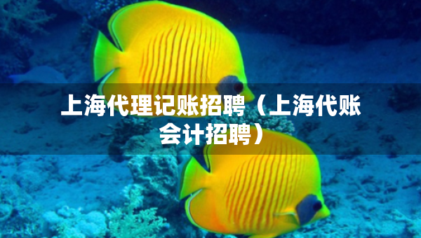 上海代理記賬招聘（上海代賬會計(jì)招聘）