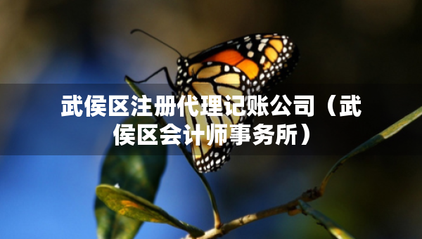 武侯區(qū)注冊代理記賬公司（武侯區(qū)會計師事務所）