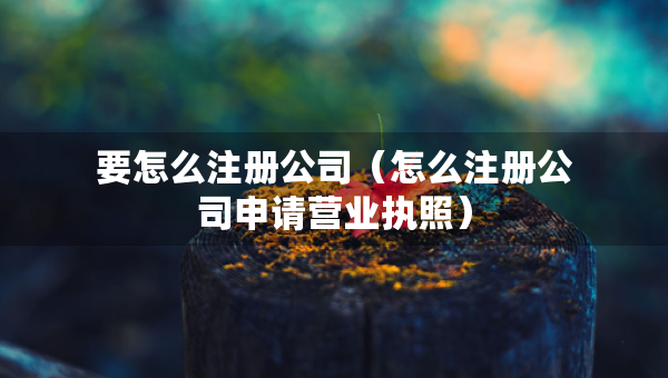 要怎么注冊公司（怎么注冊公司申請營業(yè)執(zhí)照）
