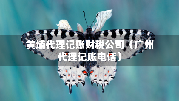 黃埔代理記賬財稅公司（廣州代理記賬電話）