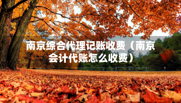 南京綜合代理記賬收費(fèi)（南京會(huì)計(jì)代賬怎么收費(fèi)）