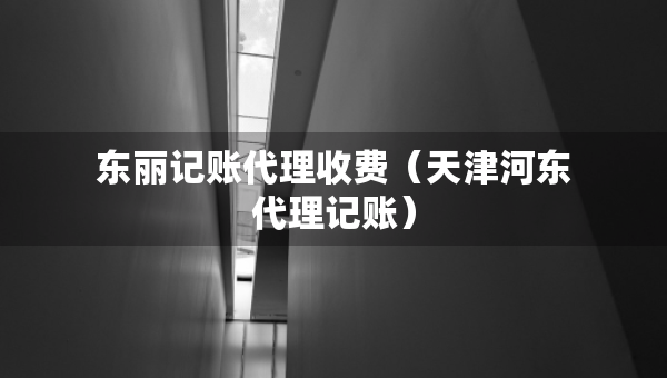 東麗記賬代理收費（天津河東代理記賬）