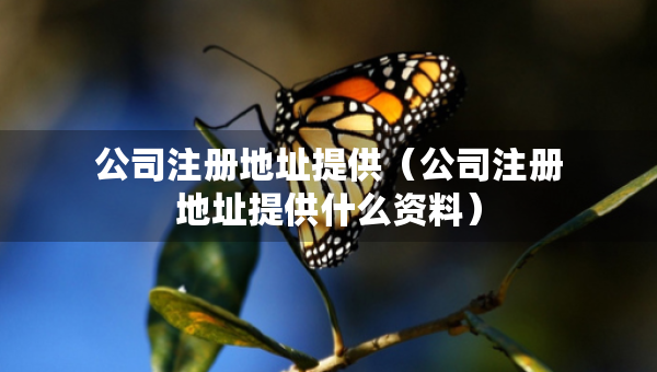 公司注冊(cè)地址提供（公司注冊(cè)地址提供什么資料）