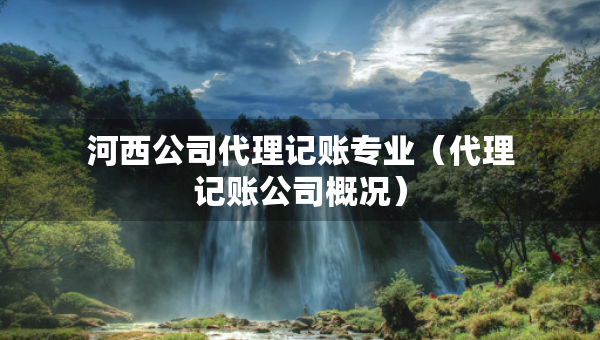 河西公司代理記賬專業(yè)（代理記賬公司概況）