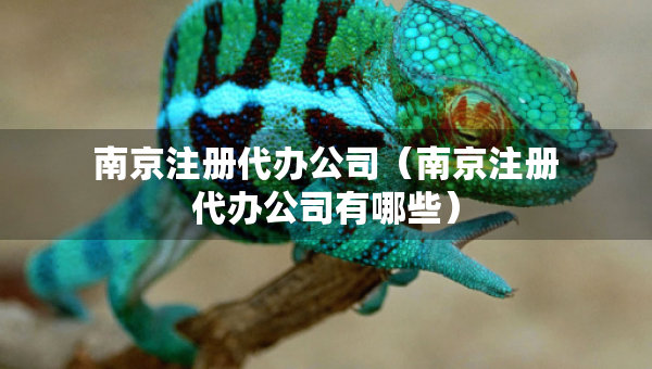 南京注冊代辦公司（南京注冊代辦公司有哪些）