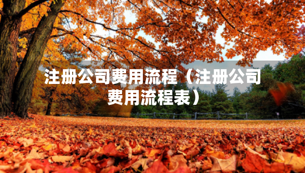 注冊公司費用流程（注冊公司費用流程表）