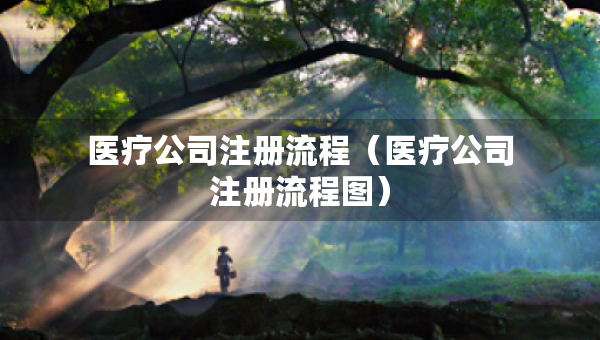 醫(yī)療公司注冊流程（醫(yī)療公司注冊流程圖）