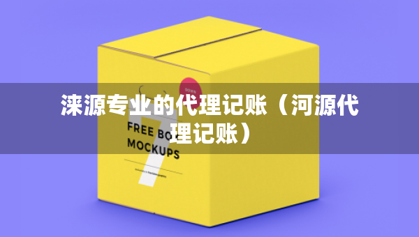 淶源專業(yè)的代理記賬（河源代理記賬）