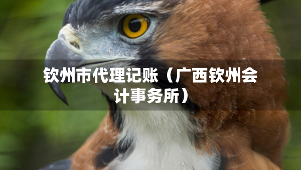 欽州市代理記賬（廣西欽州會(huì)計(jì)事務(wù)所）