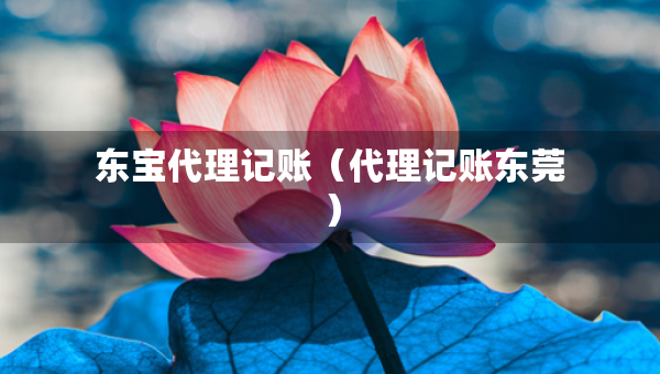 東寶代理記賬（代理記賬東莞）