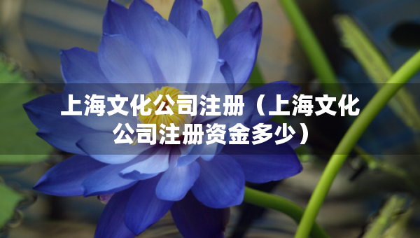 上海文化公司注冊（上海文化公司注冊資金多少）