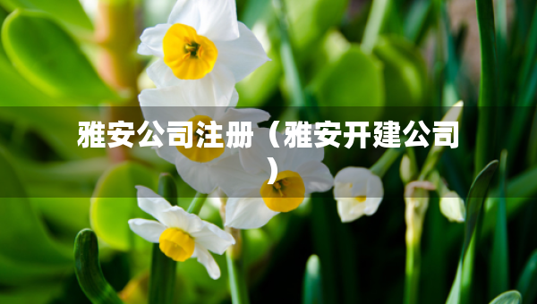 雅安公司注冊(cè)（雅安開(kāi)建公司）