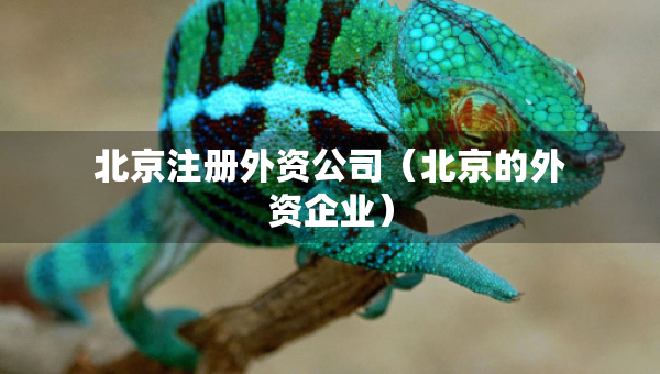 北京注冊外資公司（北京的外資企業(yè)）