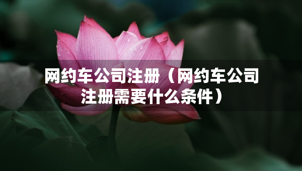 網(wǎng)約車公司注冊(cè)（網(wǎng)約車公司注冊(cè)需要什么條件）