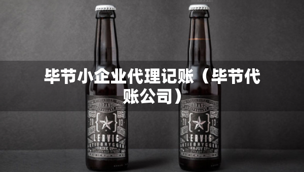 畢節(jié)小企業(yè)代理記賬（畢節(jié)代賬公司）