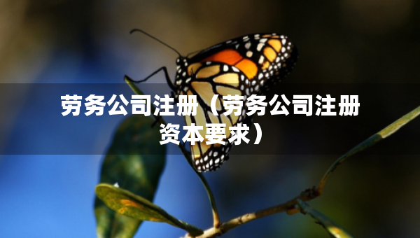 勞務(wù)公司注冊(cè)（勞務(wù)公司注冊(cè)資本要求）