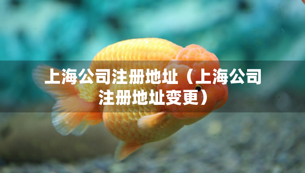 上海公司注冊(cè)地址（上海公司注冊(cè)地址變更）