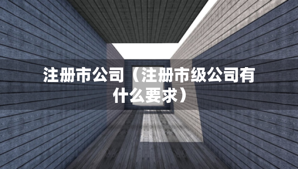 注冊(cè)市公司（注冊(cè)市級(jí)公司有什么要求）