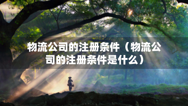 物流公司的注冊條件（物流公司的注冊條件是什么）