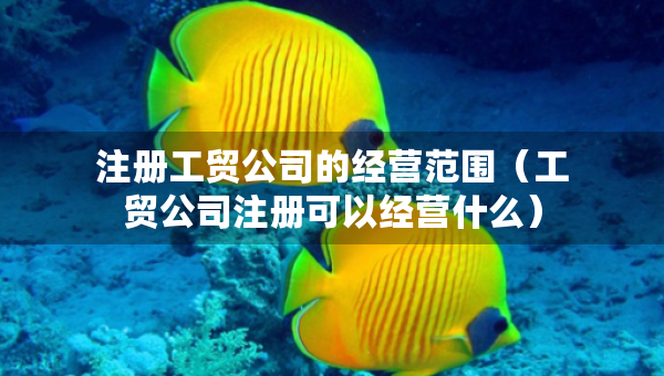 注冊(cè)工貿(mào)公司的經(jīng)營(yíng)范圍（工貿(mào)公司注冊(cè)可以經(jīng)營(yíng)什么）