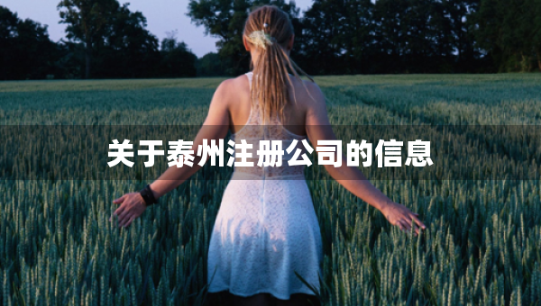 關(guān)于泰州注冊公司的信息