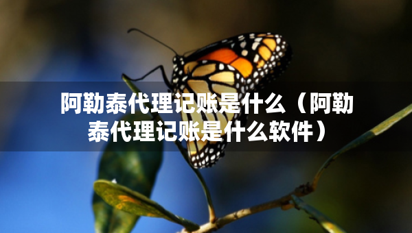 阿勒泰代理記賬是什么（阿勒泰代理記賬是什么軟件）