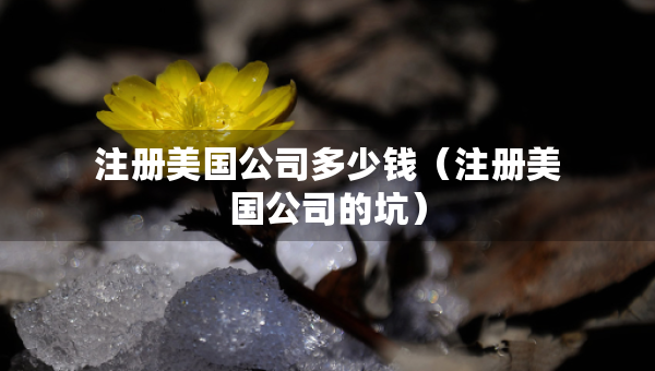 注冊(cè)美國(guó)公司多少錢(qián)（注冊(cè)美國(guó)公司的坑）
