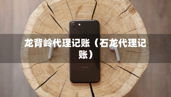 龍背嶺代理記賬（石龍代理記賬）