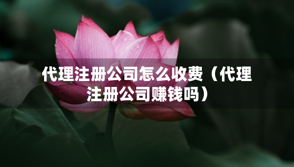 代理注冊公司怎么收費（代理注冊公司賺錢嗎）