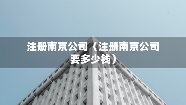 注冊南京公司（注冊南京公司要多少錢）