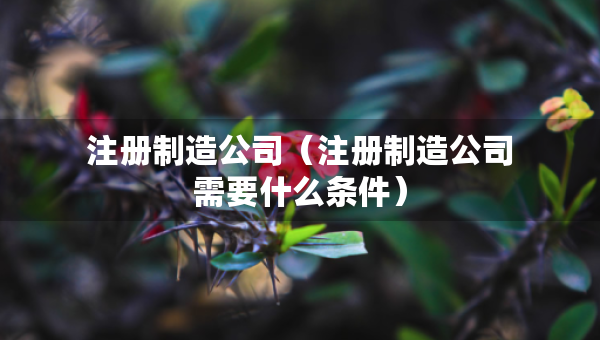 注冊(cè)制造公司（注冊(cè)制造公司需要什么條件）
