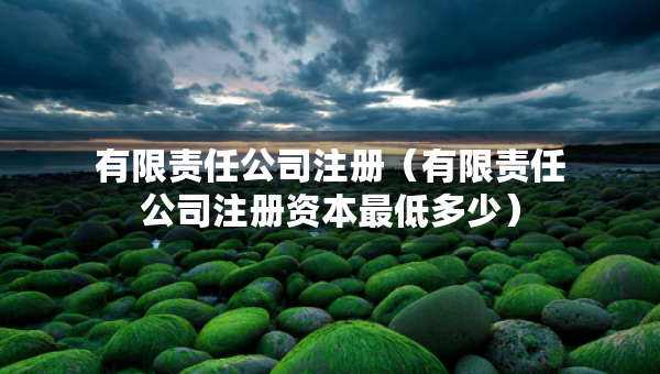有限責(zé)任公司注冊（有限責(zé)任公司注冊資本最低多少）