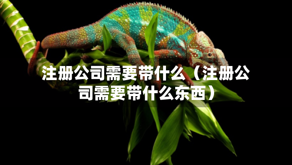 注冊公司需要帶什么（注冊公司需要帶什么東西）